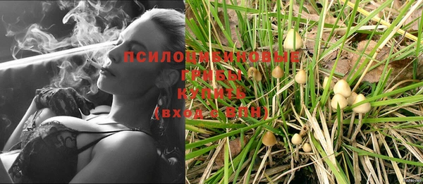 2c-b Магадан