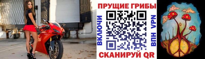 Купить закладки  Нытва  Галлюциногенные грибы MAGIC MUSHROOMS 
